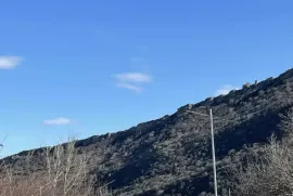 იყიდება მიწის ნაკვეთი, სასოფლო - სამეურნეო