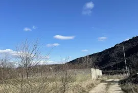 იყიდება მიწის ნაკვეთი, სასოფლო - სამეურნეო