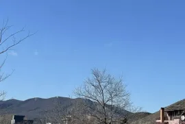 იყიდება მიწის ნაკვეთი, სასოფლო - სამეურნეო