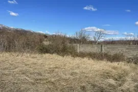 იყიდება მიწის ნაკვეთი, სასოფლო - სამეურნეო