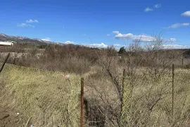 იყიდება მიწის ნაკვეთი, სასოფლო - სამეურნეო