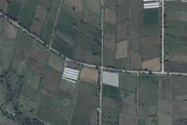 Land For Sale, Agricultural, Ereda