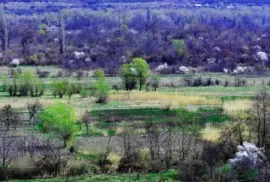 Продается Земля, Сельскохозяйственные, Lamisqana