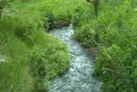 Продается Земля, Сельскохозяйственные, Lamisqana