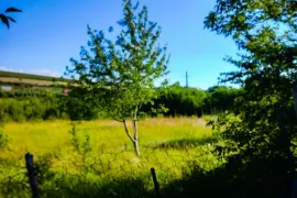 Продается Земля, Сельскохозяйственные, Lamisqana