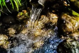 Продается Земля, Сельскохозяйственные, Lamisqana