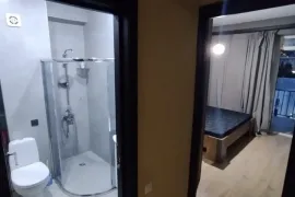 Аренда, 3 Kомнатная, Новостройка, Тбилиси, Санзона