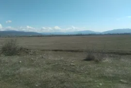 Land For Sale, Commercial, Mukhrani