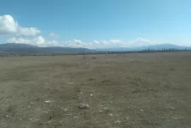 Land For Sale, Commercial, Mukhrani