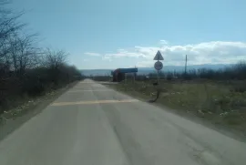 Land For Sale, Commercial, Mukhrani