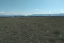 Land For Sale, Commercial, Mukhrani