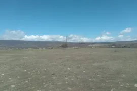 Land For Sale, Commercial, Mukhrani