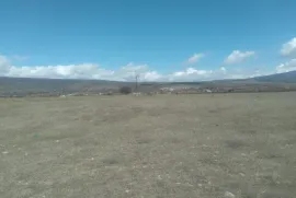 Land For Sale, Commercial, Mukhrani