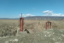 Land For Sale, Commercial, Mukhrani