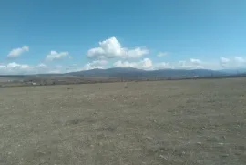 Land For Sale, Commercial, Mukhrani