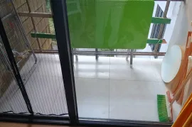 იყიდება ბინა, 1 ოთახიანი, ახალი აშენებული, ბათუმი, აეროპორტის უბანი