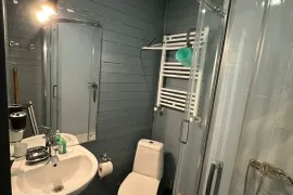 Аренда квартир посуточно, 2 Kомнатная, Новостройка, Боржомский район, Бакуриани