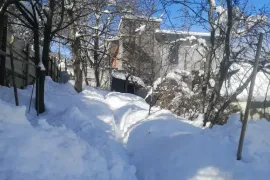 იყიდება მიწის ნაკვეთი, სასოფლო - სამეურნეო, წყნეთი