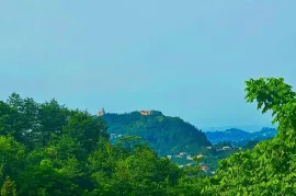 Продается Земля, Сельскохозяйственные, Ахалшени