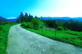 Продается Земля, Сельскохозяйственные, Ахалшени