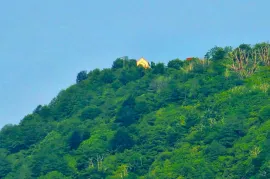 Продается Земля, Сельскохозяйственные, Ахалшени