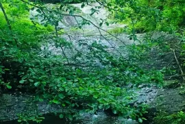 Продается Земля, Сельскохозяйственные, Ахалшени