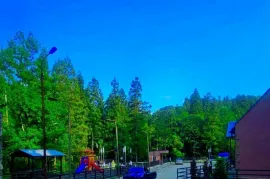 Продается Земля, Сельскохозяйственные, Ахалшени