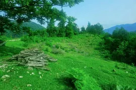 Продается Земля, Сельскохозяйственные, Ахалшени