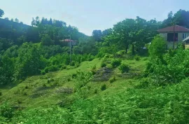 Продается Земля, Сельскохозяйственные, Ахалшени