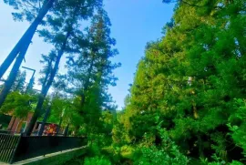 Продается Земля, Сельскохозяйственные, Ахалшени