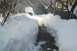 იყიდება სახლი, 5 ოთახიანი, თბილისის შემოგარენი, წყნეთი