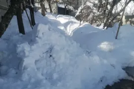 იყიდება სახლი, 5 ოთახიანი, თბილისის შემოგარენი, წყნეთი