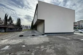 Аренда, Универсальное коммерческое помещение, Поселение Никея