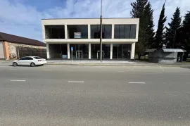 Аренда, Универсальное коммерческое помещение, Поселение Никея