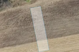 იყიდება მიწის ნაკვეთი, სასოფლო - სამეურნეო, ბაზალეთი 