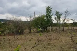 Продается Земля, Не Сельскохозяйственный, Цкаростави