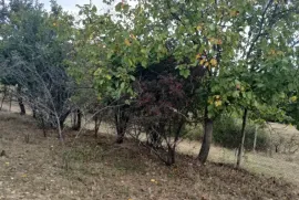 Продается Земля, Не Сельскохозяйственный, Цкаростави