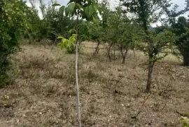 Продается Земля, Не Сельскохозяйственный, Цкаростави