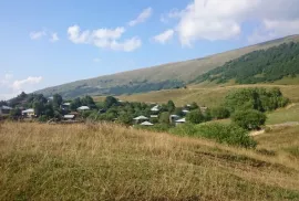 Продается Земля, Сельскохозяйственные, Ушолта