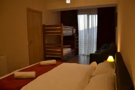 იყიდება ბინა, 2 ოთახიანი, ახალი აშენებული, ბორჯომი, ბაკურიანი