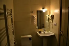 იყიდება ბინა, 2 ოთახიანი, ახალი აშენებული, ბორჯომი, ბაკურიანი