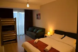 იყიდება ბინა, 2 ოთახიანი, ახალი აშენებული, ბორჯომი, ბაკურიანი