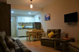 იყიდება ბინა, 2 ოთახიანი, ახალი აშენებული, ბორჯომი, ბაკურიანი