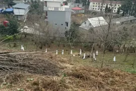 იყიდება მიწის ნაკვეთი, სასოფლო - სამეურნეო, მახინჯაური