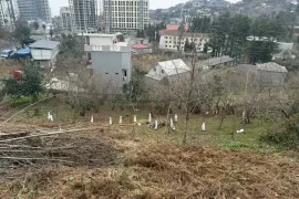 იყიდება მიწის ნაკვეთი, სასოფლო - სამეურნეო, მახინჯაური