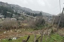 იყიდება მიწის ნაკვეთი, სასოფლო - სამეურნეო, მახინჯაური