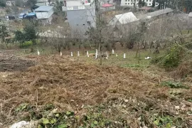 იყიდება მიწის ნაკვეთი, სასოფლო - სამეურნეო, მახინჯაური