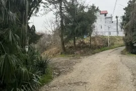 იყიდება მიწის ნაკვეთი, სასოფლო - სამეურნეო, მახინჯაური