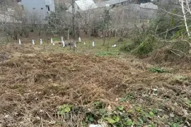 იყიდება მიწის ნაკვეთი, სასოფლო - სამეურნეო, მახინჯაური