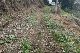 იყიდება მიწის ნაკვეთი, სასოფლო - სამეურნეო, მახინჯაური